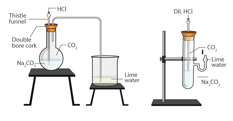 Overview: Acids, Bases and Salts | Science Class 10