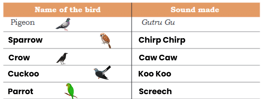 Plants and Animals Live Together NCERT Solutions | EVS Class 3: The World around us (Our Wondrous World)