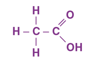 Unit Test (Solutions): Carbon and its Compounds | Science Class 10