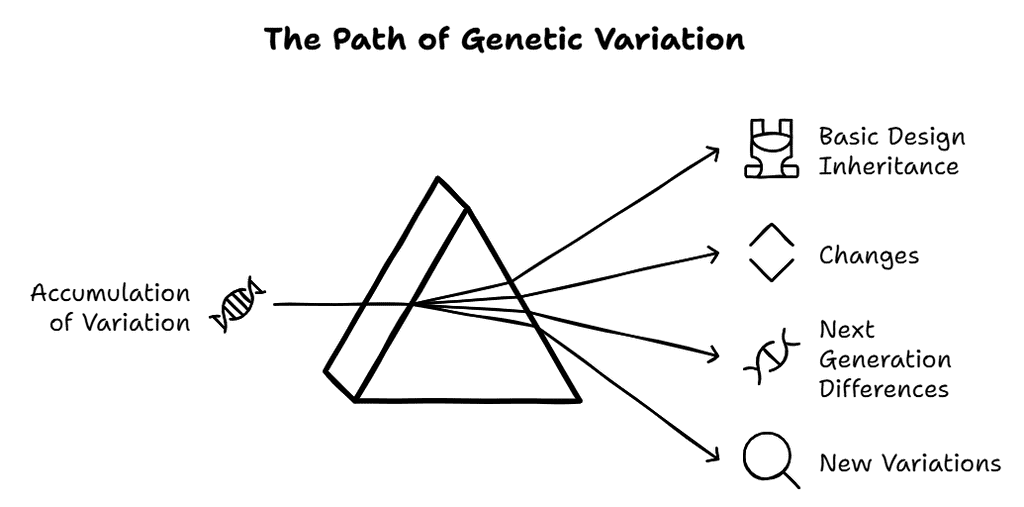 Heredity and Evolution Class 10 Notes Science Chapter 8