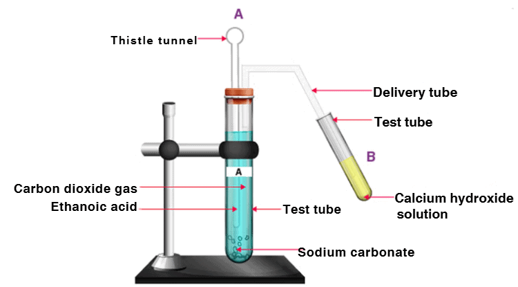 Unit Test (Solutions): Carbon and its Compounds | Science Class 10