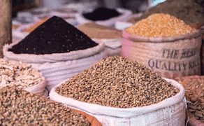 Ramesh Singh Summary: Agriculture & Food Management- 2 | Indian Economy for UPSC CSE