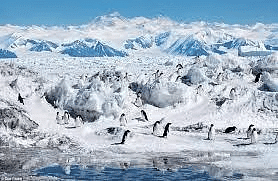 Polar Regions