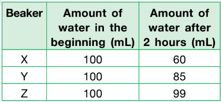 Science Olympiad Previous Year Questions - 1 | Science Olympiad Class 4