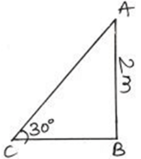 Unit Test (Solutions): Some Applications of Trigonometry | Mathematics (Maths) Class 10