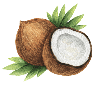 Worksheet Solutions: Foods We Eat - 1 | EVS for Class 3