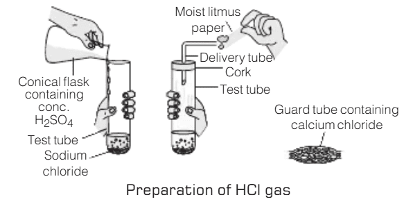 Overview: Acids, Bases and Salts | Science Class 10