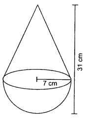 Practice Questions: Surface Areas and Volumes | Mathematics (Maths) Class 10