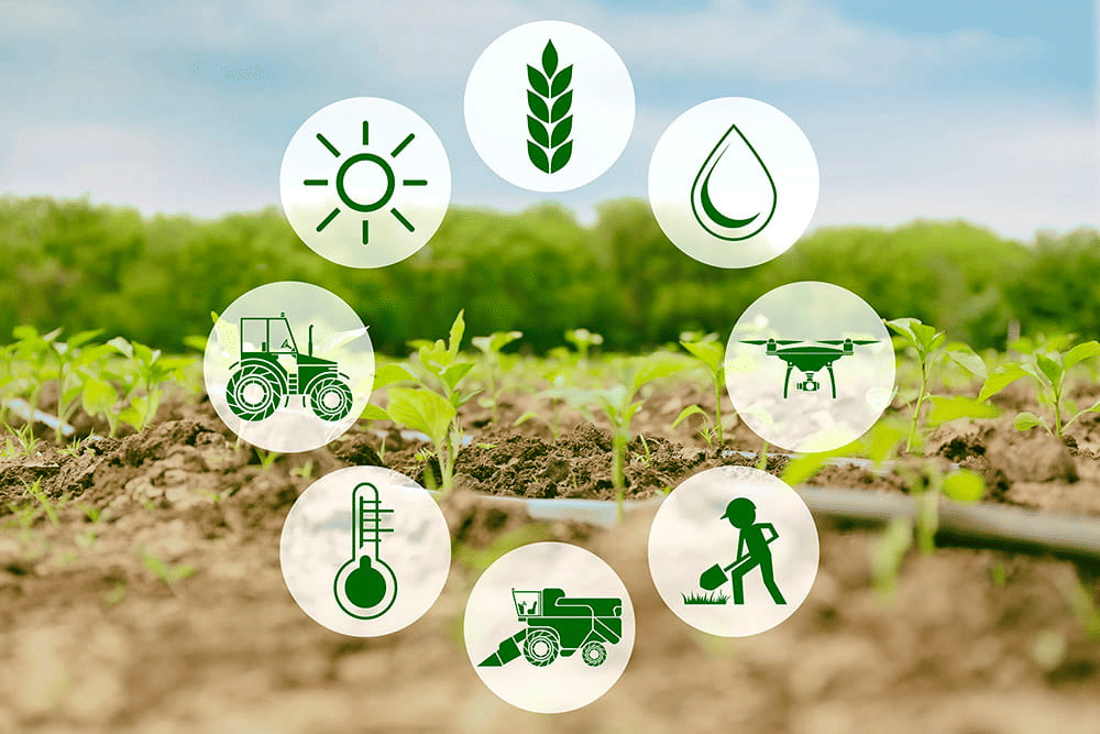 Class 10 Geography Chapter 4 Notes - Agriculture