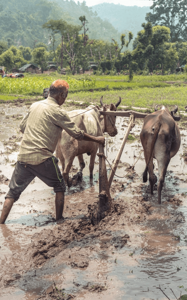 Ploughing