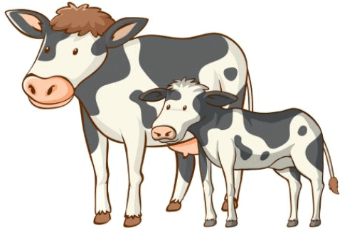 Ear To Ear - 2 Class 4 Worksheet EVS Chapter 2