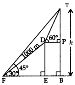 Unit Test (Solutions): Some Applications of Trigonometry | Mathematics (Maths) Class 10