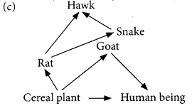 Class 10 Science Chapter 13 Question Answers - Our Environment