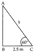 Unit Test (Solutions): Some Applications of Trigonometry | Mathematics (Maths) Class 10