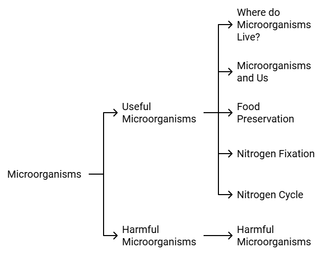 Syllabus: Science for Class 8 | Science Class 8
