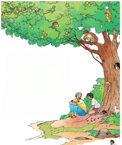 Living in Harmony Chapter Notes | EVS Class 3: The World around us (Our Wondrous World)