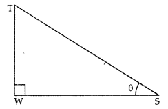Unit Test (Solutions): Some Applications of Trigonometry | Mathematics (Maths) Class 10