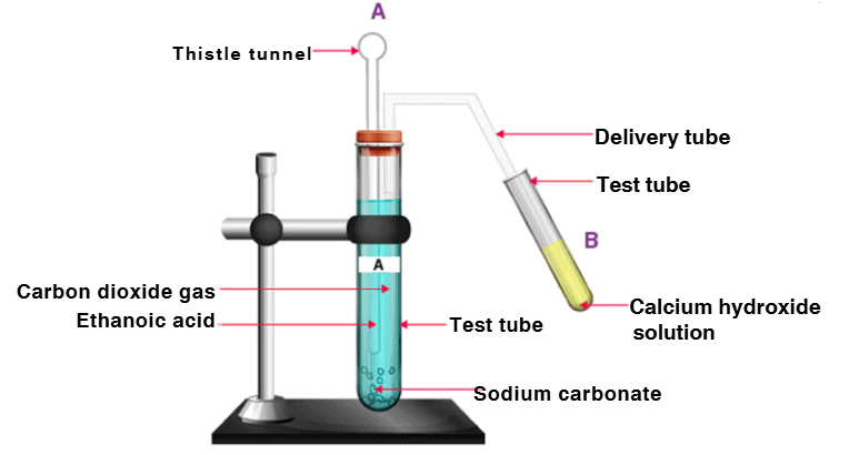 Unit Test: Carbon and its Compounds | Science Class 10