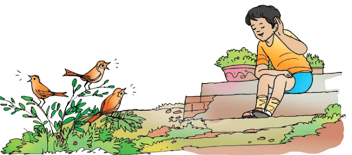 Worksheet Solutions: Plants and Animals Live Together | Worksheets with solutions for Class 3