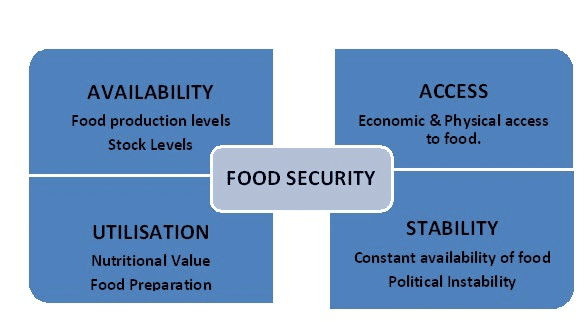 Class 9 Economics Chapter 4 Notes - Food Security in India