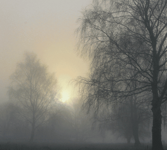 Essay on A Foggy Morning | Essays for Class 4