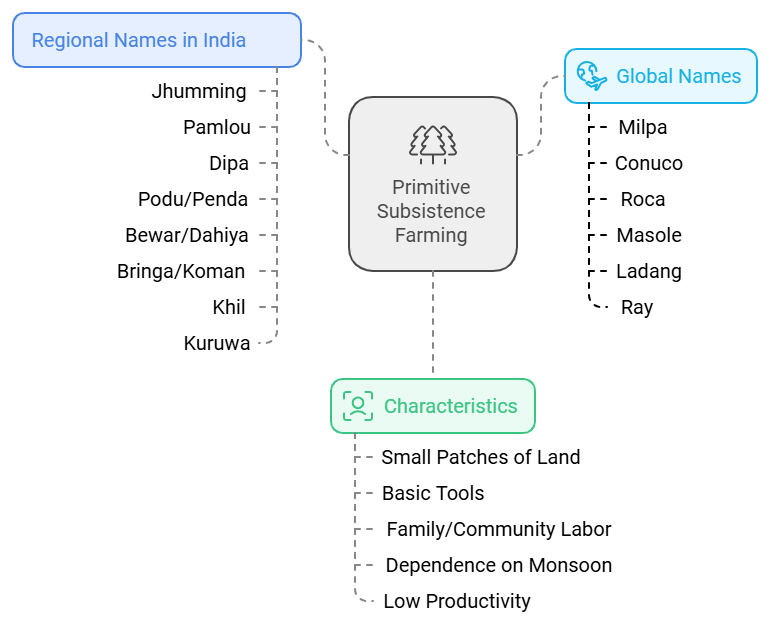 Class 10 Geography Chapter 4 Notes - Agriculture