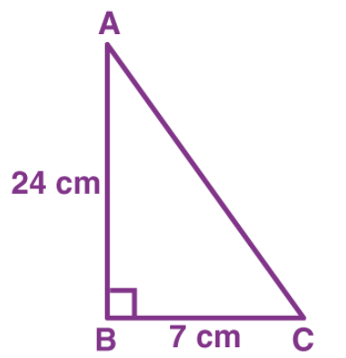 Practice Questions: Introduction to Trigonometry | Mathematics (Maths) Class 10