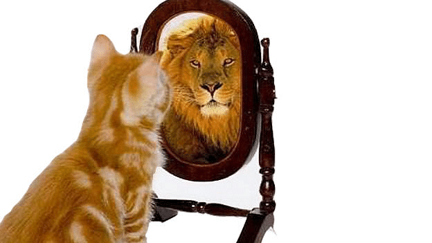 Self-Perception