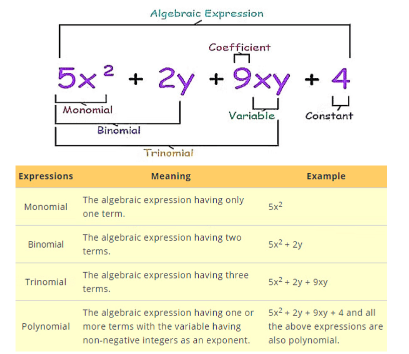Algebraic Expressions and Identities Chapter Notes | Mathematics (Maths) Class 8