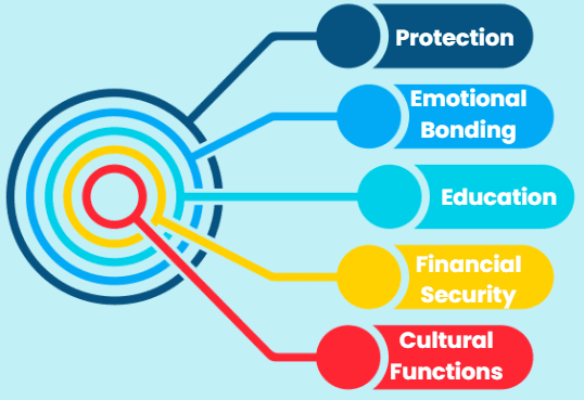 Notes: Family & Friends | EVS & Pedagogy Paper 1 for CTET & TET Exams - CTET & State TET