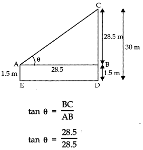 Unit Test (Solutions): Some Applications of Trigonometry | Mathematics (Maths) Class 10