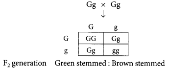 Unit Test (Solutions): Heredity | Science Class 10