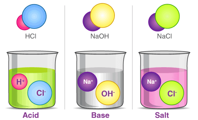 Important Equations and Definitions: Acids, Bases and Salts | Science Class 10