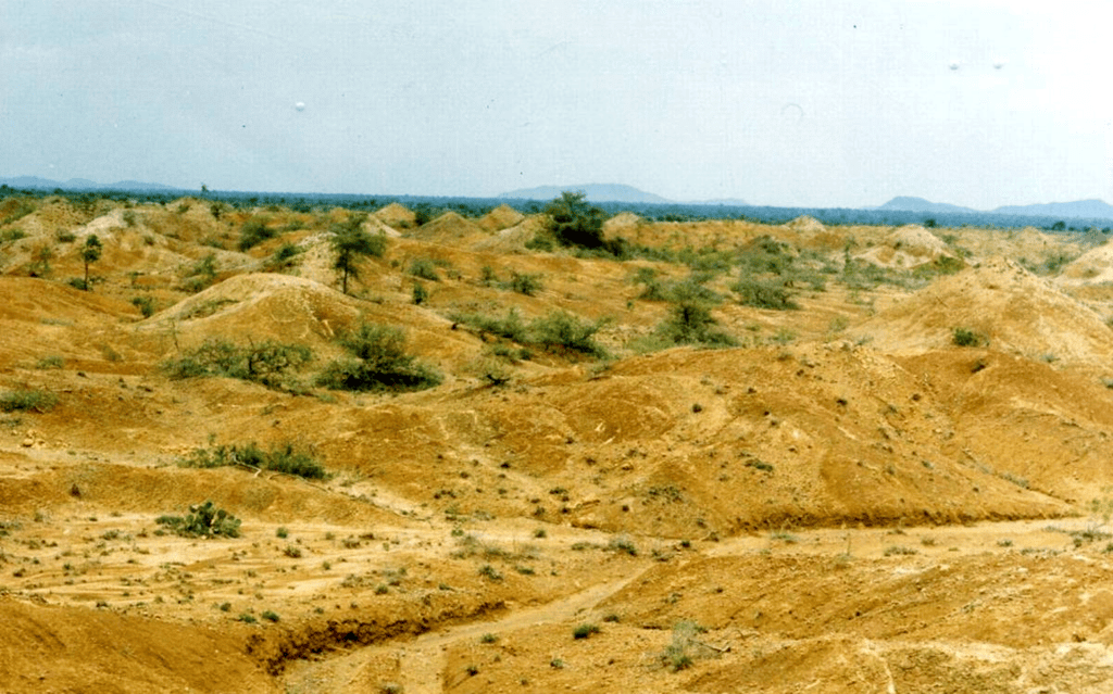 WasteLand 