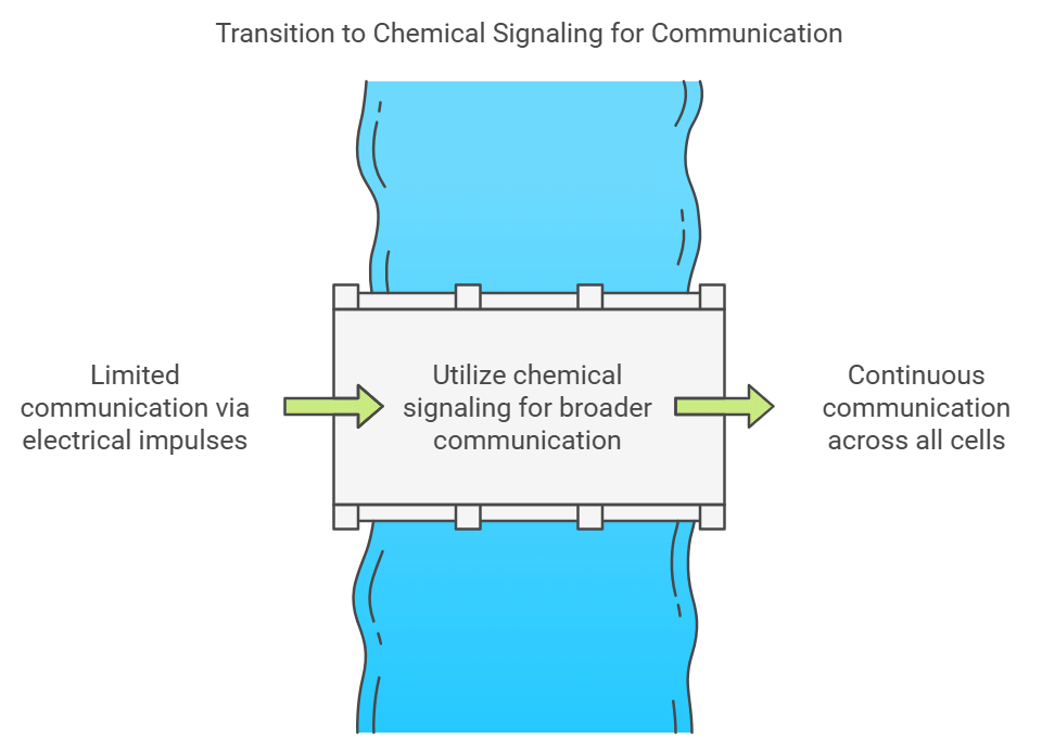 Control and Coordination Class 10 Notes Science Chapter 6