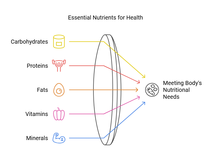 Human Needs Chapter Notes | Science Olympiad Class 4