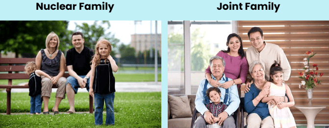 Notes: Family & Friends | EVS & Pedagogy Paper 1 for CTET & TET Exams - CTET & State TET
