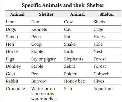 Notes: Shelter | EVS & Pedagogy Paper 1 for CTET & TET Exams - CTET & State TET
