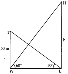 Unit Test (Solutions): Some Applications of Trigonometry | Mathematics (Maths) Class 10