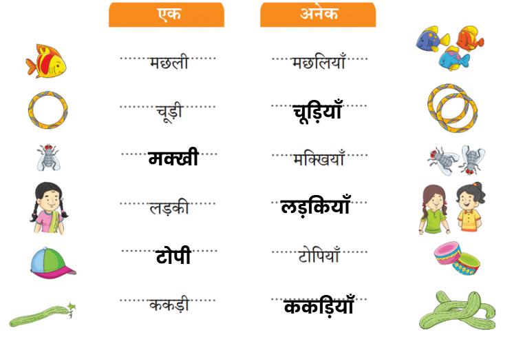 चतुर गीदड़ NCERT Solutions | Hindi for Class 3 (वीणा)