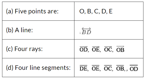 NCERT Solutions for Class 6 Maths Chapter 4 - Basic Geometrical Ideas