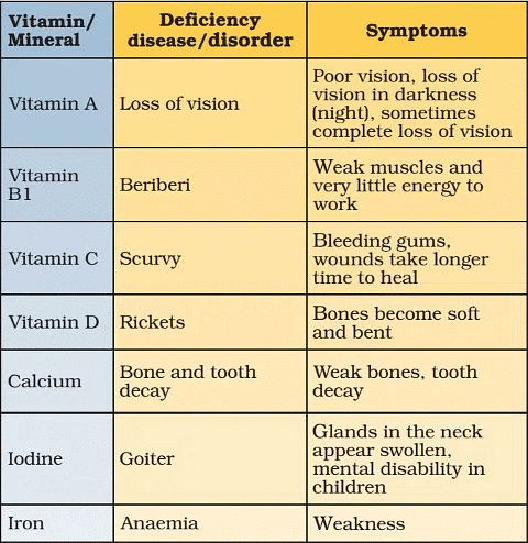 NCERT Summary: Components of Food | Class 6 All Subjects (Old NCERT)