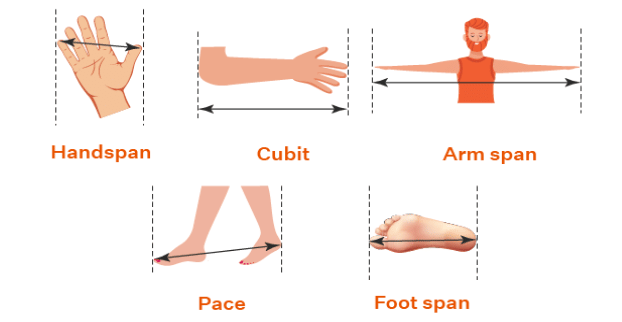 Class 6 Science Chapter 7 Question Answers - Motion and Measurement of Distances