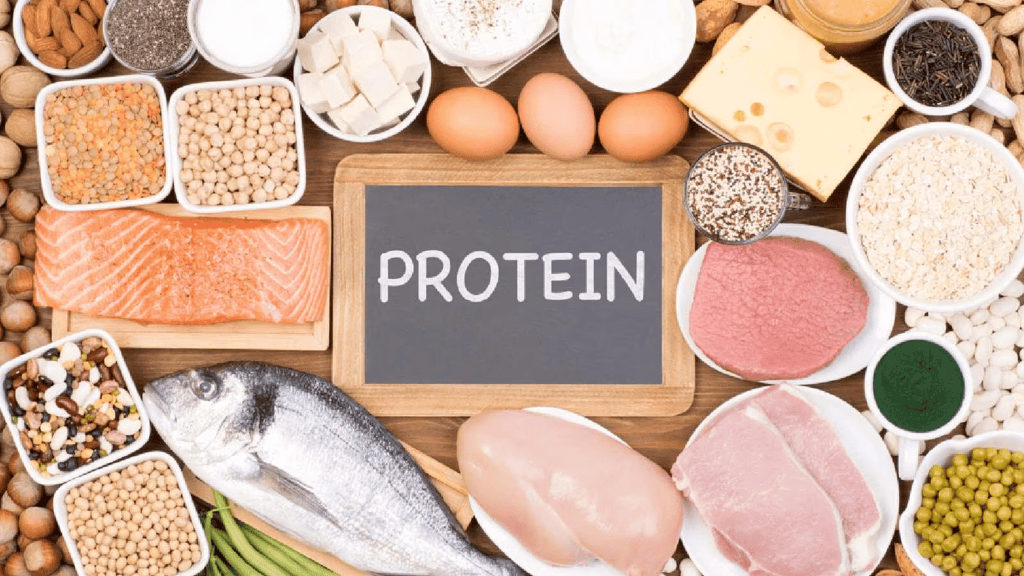 Class 6 Science Chapter 1 Question Answers - Components of Food