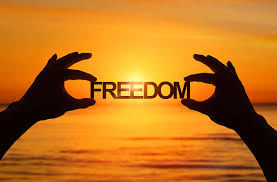 Freedom Class 11 Political Science