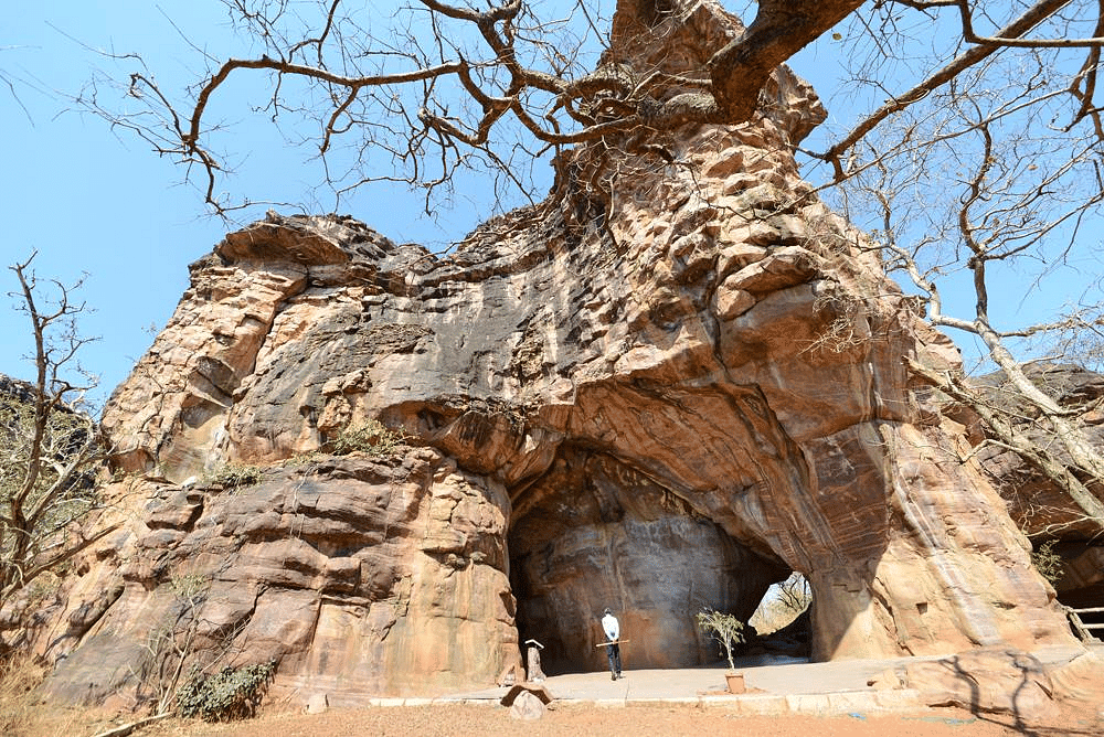 Prehistoric Rock Paintings Chapter Notes | Fine Art for Class 11 - Humanities/Arts