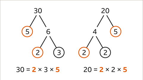 What is a Common Factor? - Year 7