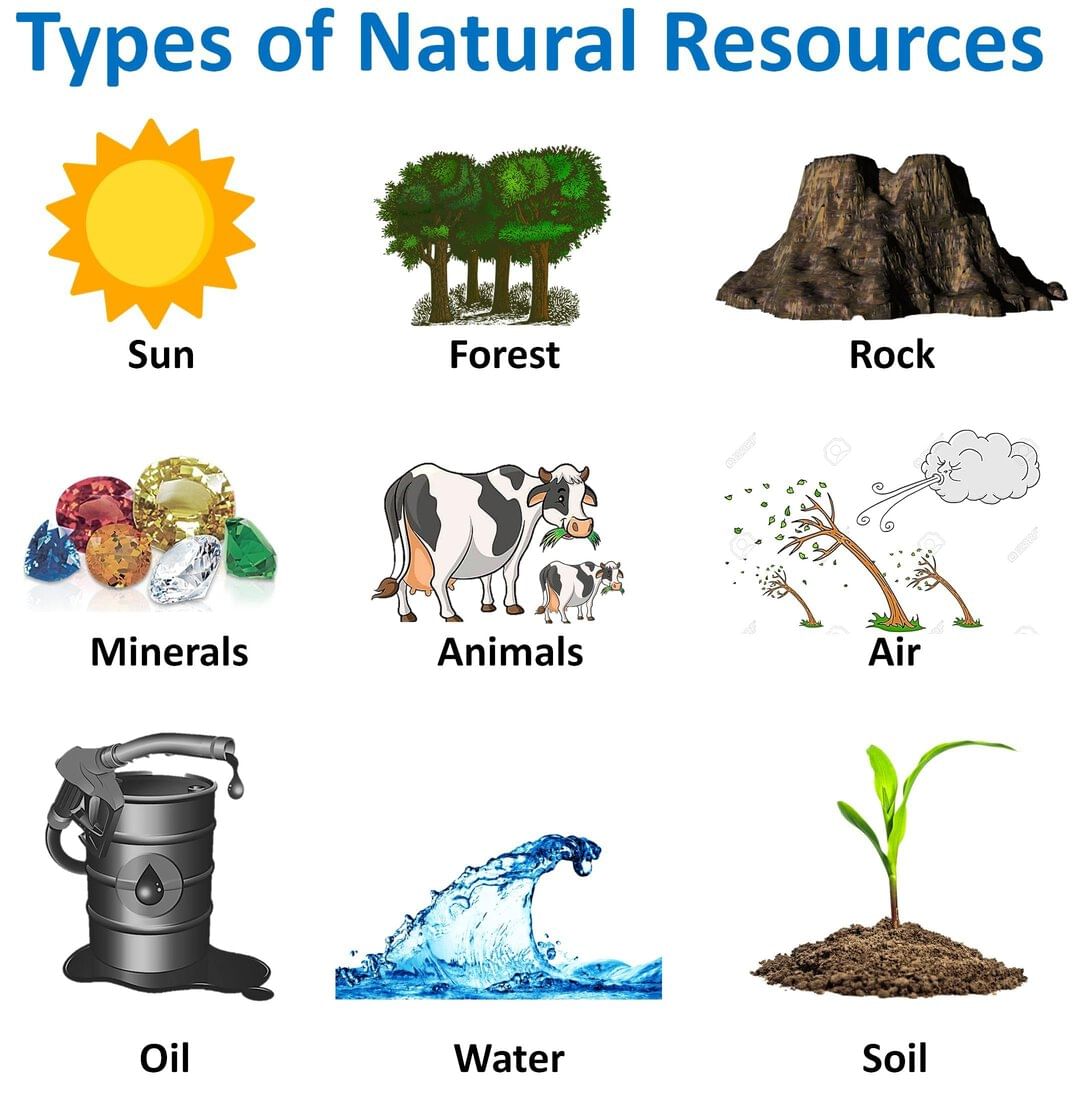 Short Answer Questions: Natural Resources and Their Use | Social Science  Class 8 - New NCERT
