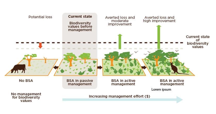 Environment and Ecology - 4 | Current Affairs & Hindu Analysis: Daily, Weekly & Monthly - UPSC