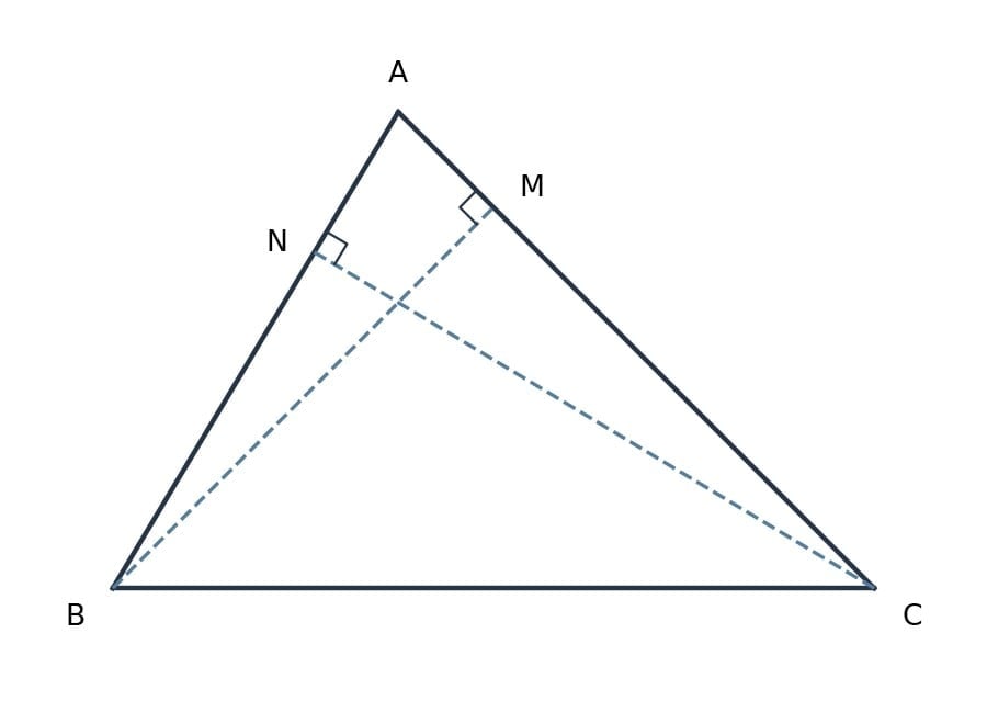 HOTS Questions Propositions and their Converses - Maths Class 9 - New NCERT